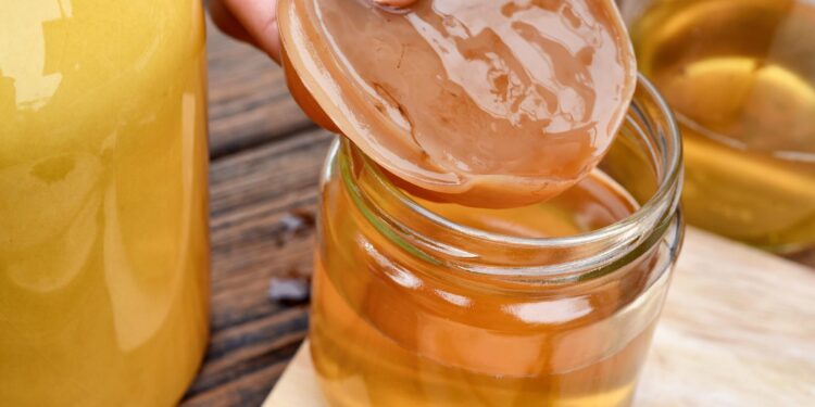 Se incorpora la kombucha al Código Alimentario Argentino