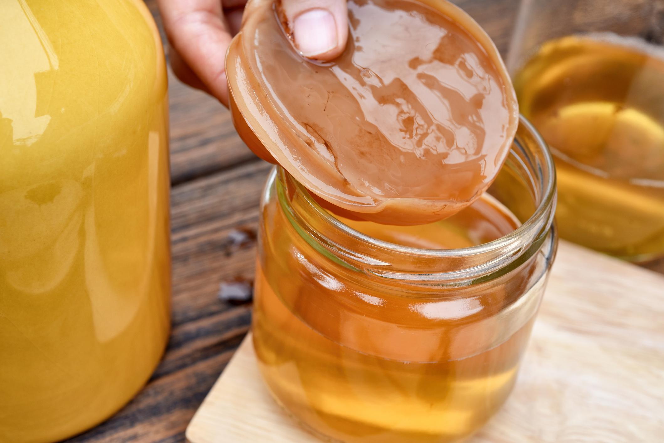 Se incorpora la kombucha al Código Alimentario Argentino