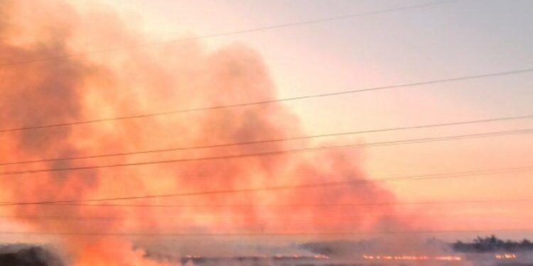 Los incendios en el Delta del Paraná pueden verse hasta desde un satélite
