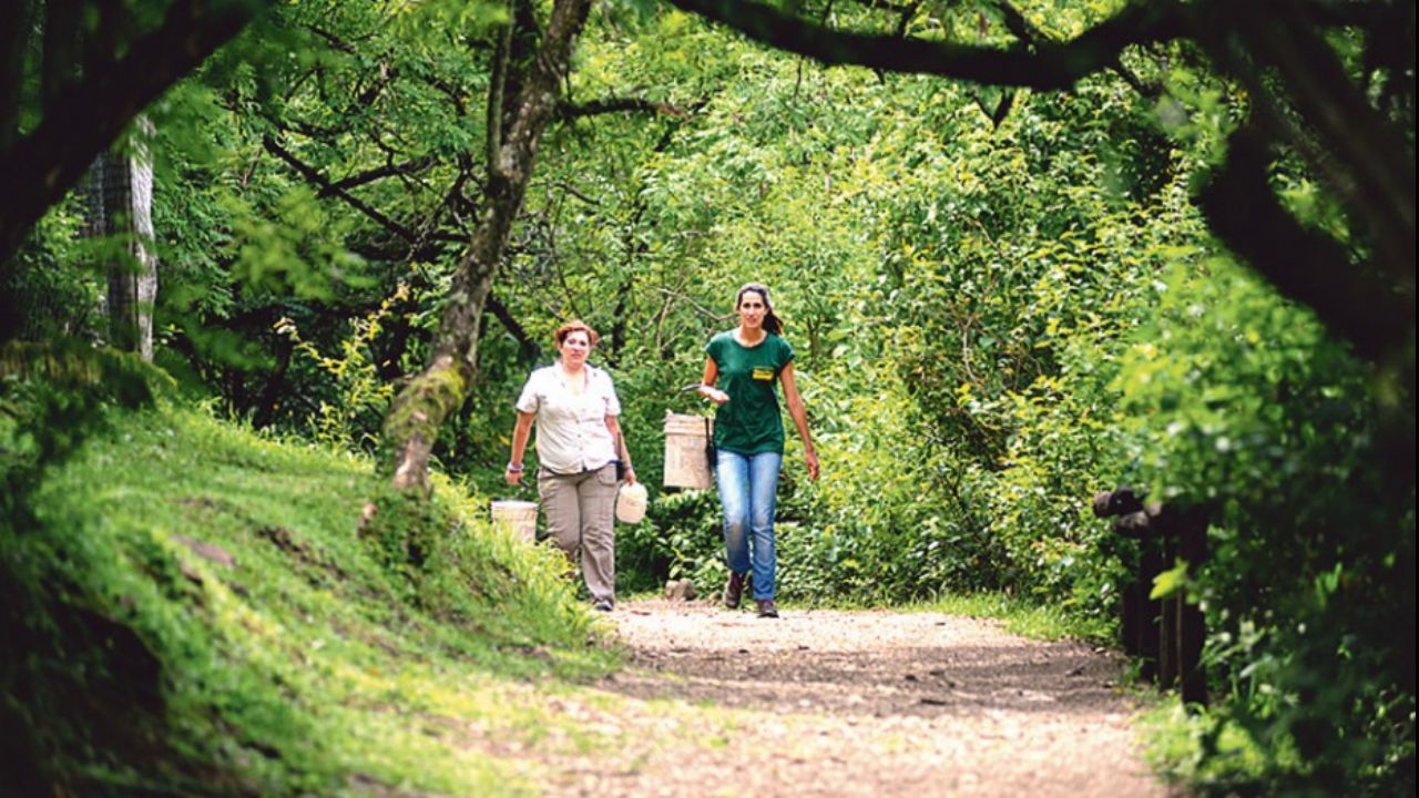 Realizarán una megaproyecto de restauración ecológica en Horco Molle