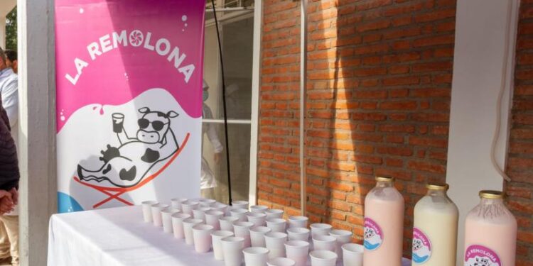 Una nueva marca de lácteos nace en Tafí Viejo