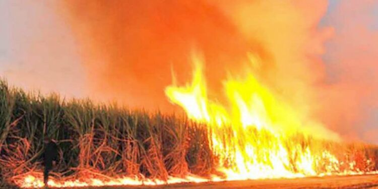 En Tucumán aún se padece la contaminación por la quema de cañaverales y los ingenios
