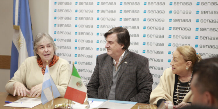 Argentina podría exportar carne bovina a México