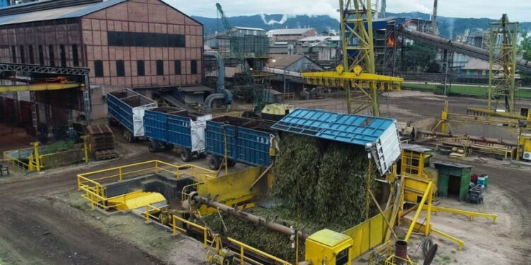 En Jujuy crean un parque industrial sustentable