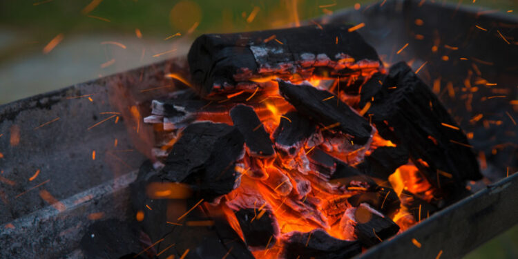 Crean un nuevo producto para que el asado sea más sustentable