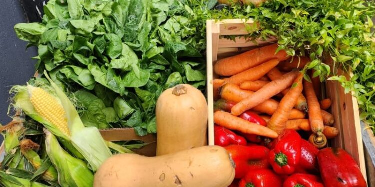 Buscan desarrollar variedades de vegetales para el deshidratado