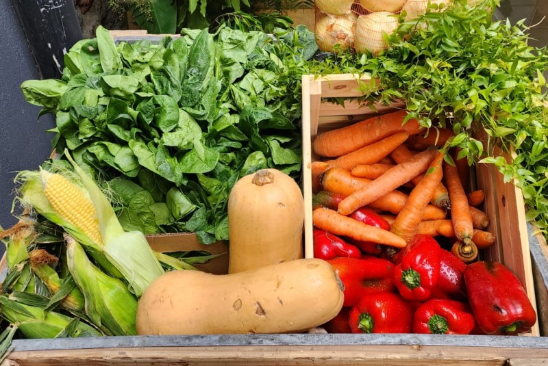 Buscan desarrollar variedades de vegetales para el deshidratado