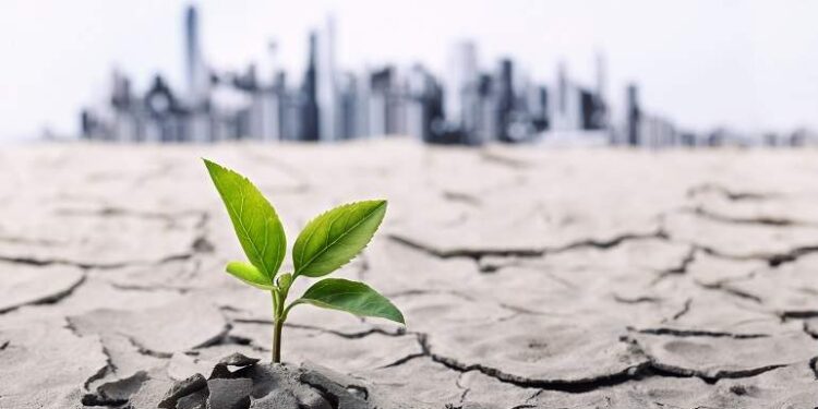 ¿Cuáles son las variables en juego de la nueva producción agraria en el mundo?