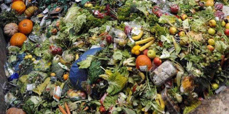 El 40% de los alimentos producidos en el mundo termina en la basura