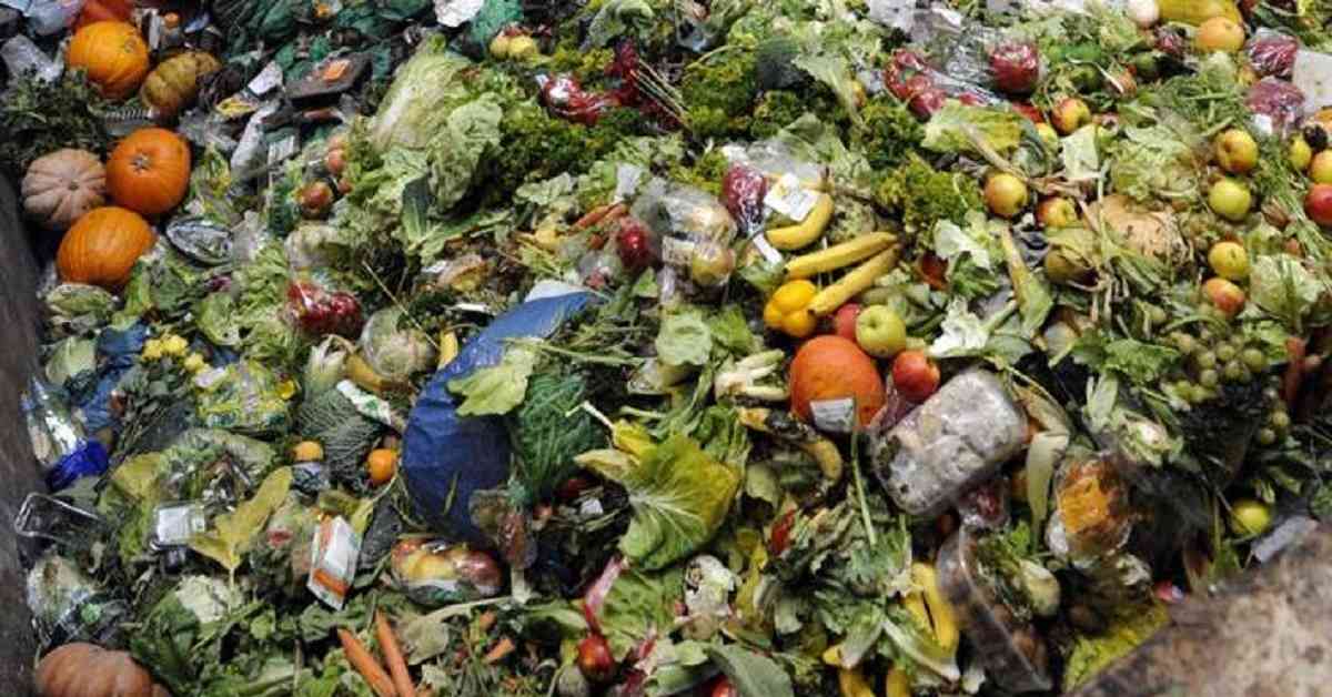 El 40% de los alimentos producidos en el mundo termina en la basura