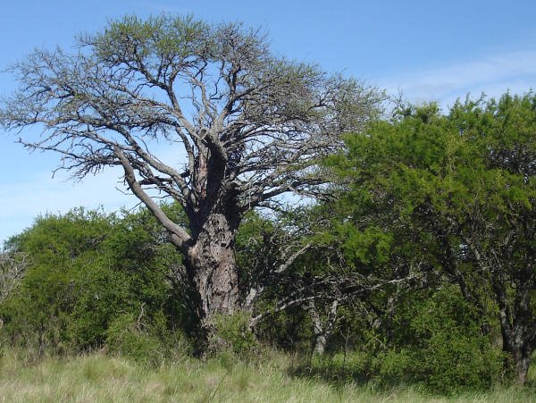 Los productores pampeanos lograron dar marcha atrás el proyecto de expropiación de sus tierras