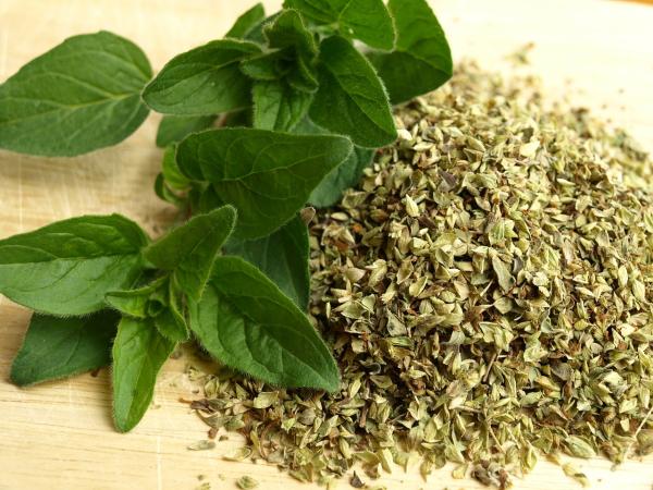 Buscan obtener la certificación de origen para el orégano argentino