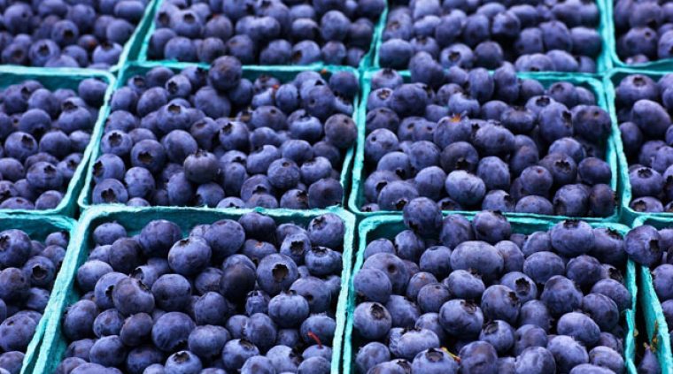 El arándano pierde cada vez más competitividad por el atraso cambiario