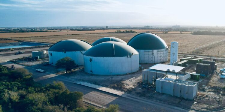 En Córdoba transforman 130 toneladas de residuos en energía térmica y eléctrica