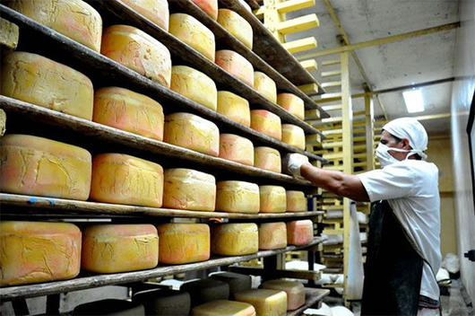 Evalúan modificar las retenciones de los quesos y leche en polvo