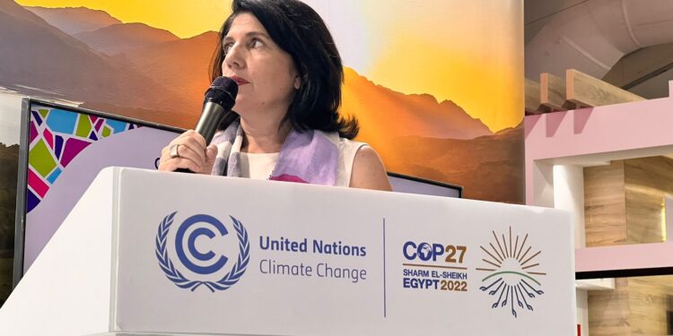 Una representante tucumana disertó en la cumbre por el cambio climático en Egipto