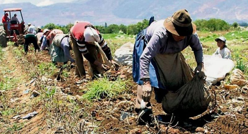 Se crea el Instituto Nacional de la Agricultura Familiar, Campesina e Indígena