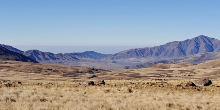 Advierten pérdidas del 100% en viñedos de Amaicha del Valle