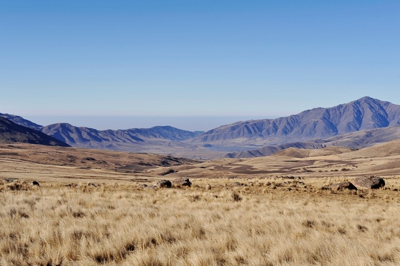 Advierten pérdidas del 100% en viñedos de Amaicha del Valle