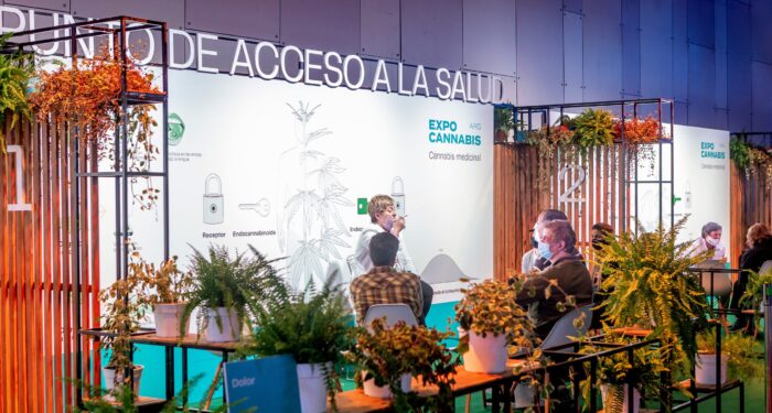 El gobierno asegura un mejor futuro para la producción de cannabis medicinal
