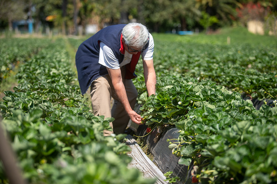 Se creó el primer centro de innovación sustentable en Monteros