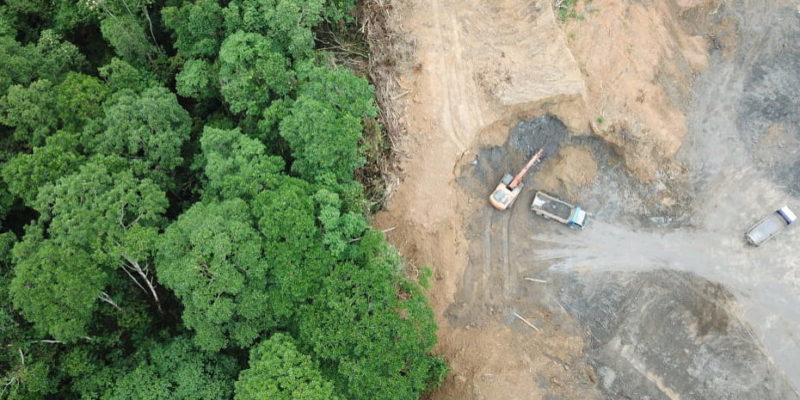 Con satélites monitorean la trazabilidad y deforestación