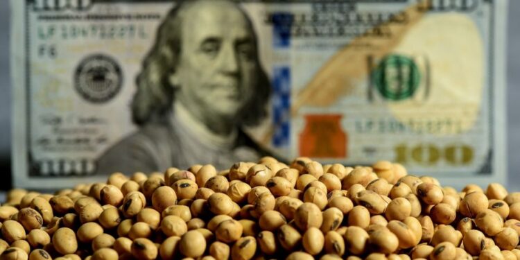 Para los productores del norte la medida por el nuevo dólar soja «es discriminatoria»