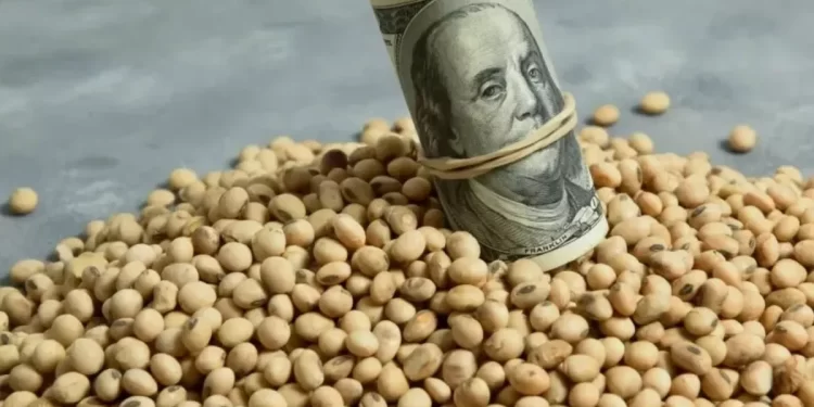 Para los productores del norte la medida por el nuevo dólar soja «es discriminatoria»