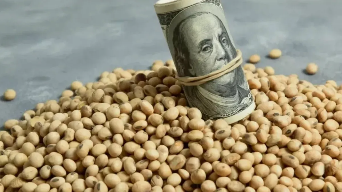 Para los productores del norte la medida por el nuevo dólar soja «es discriminatoria»