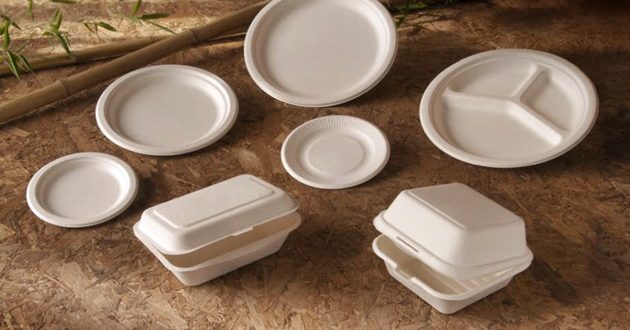Ledesma creará envases descartables orgánicos a partir de caña de azúcar