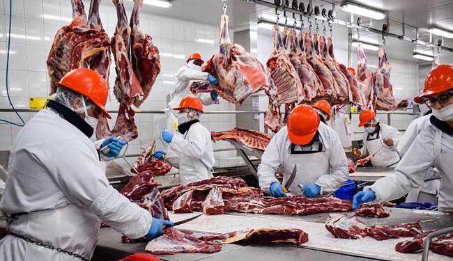 Advierten que 3 de cada 4 kilos de carne se vende con informalidades