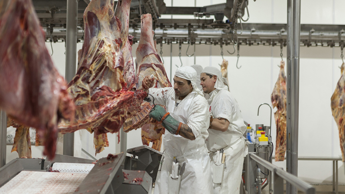 Aseguran que implementar la medida del troceo hará subir el precio de la carne