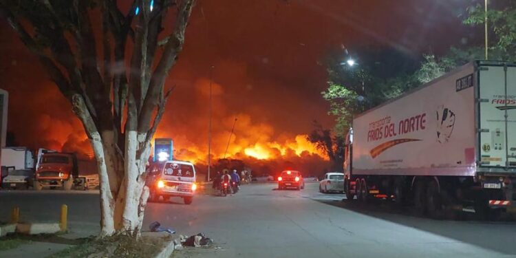 Alarmantes incendios en las Yungas del norte argentino