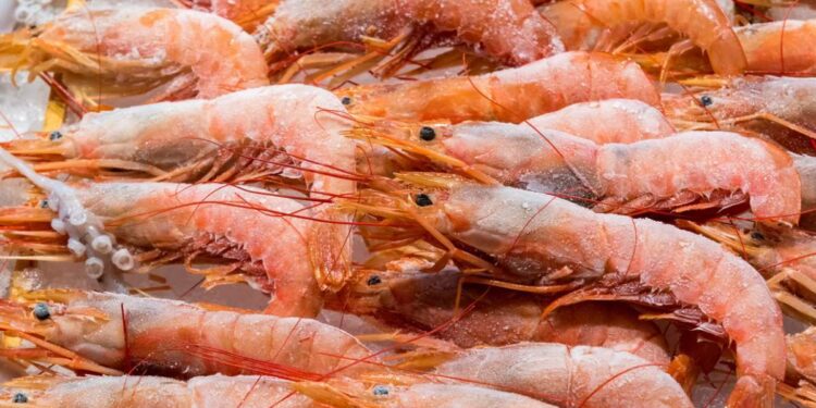Las exportaciones pesqueras cayeron un 6,7%