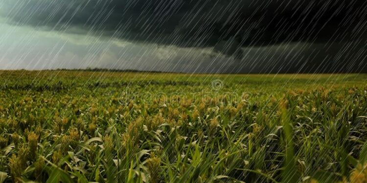 Se vienen buenas lluvias para el NOA