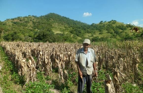 Es oficial: el gobierno brindará ayuda económica a pequeños productores de soja y maíz