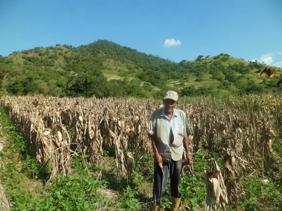 Es oficial: el gobierno brindará ayuda económica a pequeños productores de soja y maíz
