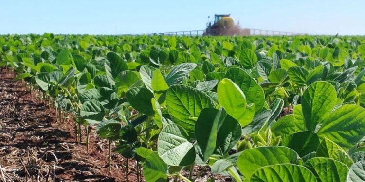 Requisitos para cobrar la compensación a pequeños productores