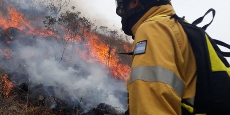 Una gran extensión de las Yungas es arrasada por el fuego