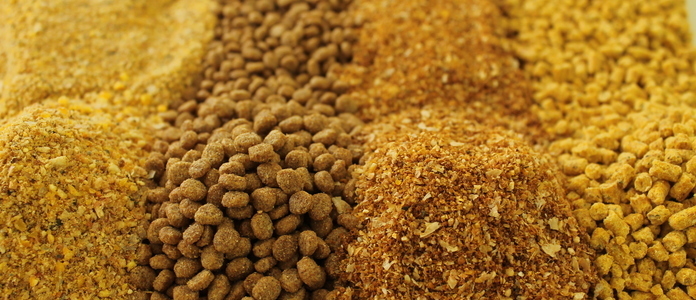 Continúan las trabas para la importación y crecen los problemas en la industria de alimentos balanceados