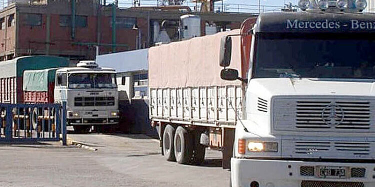 El ingreso de trigo a los puertos cayó un 37,4% comparado con el año pasado