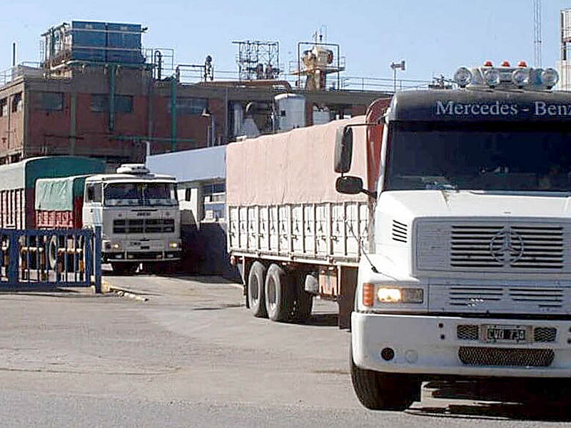 El ingreso de trigo a los puertos cayó un 37,4% comparado con el año pasado