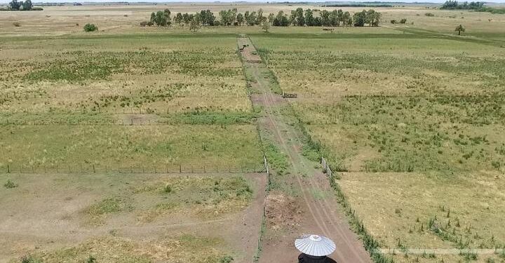 Mercado inmobiliario rural: un campo argentino vale la mitad que uno en Uruguay