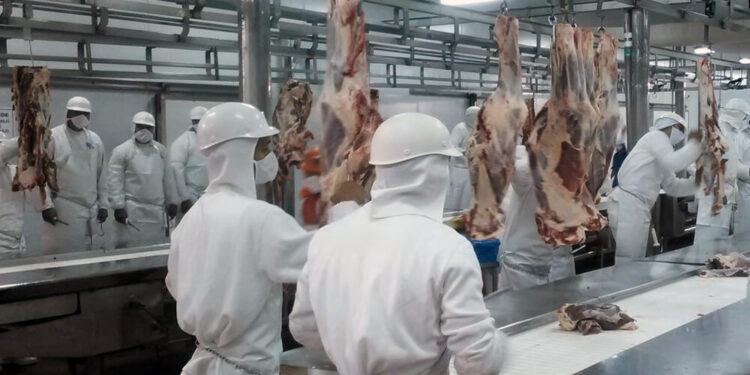 Trabajadores de la carne recibirán un bono de $50.000 más un aumento del 107%