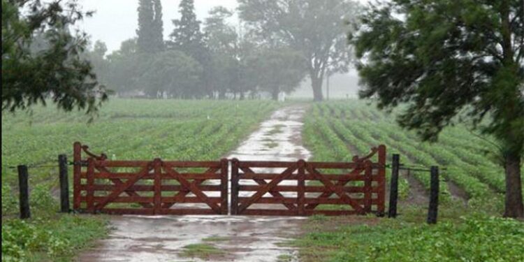 Se espera una normalización de las lluvias hacia el otoño