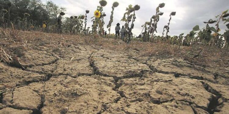 La sequía severa arrasó con más de 22 millones de hectáreas