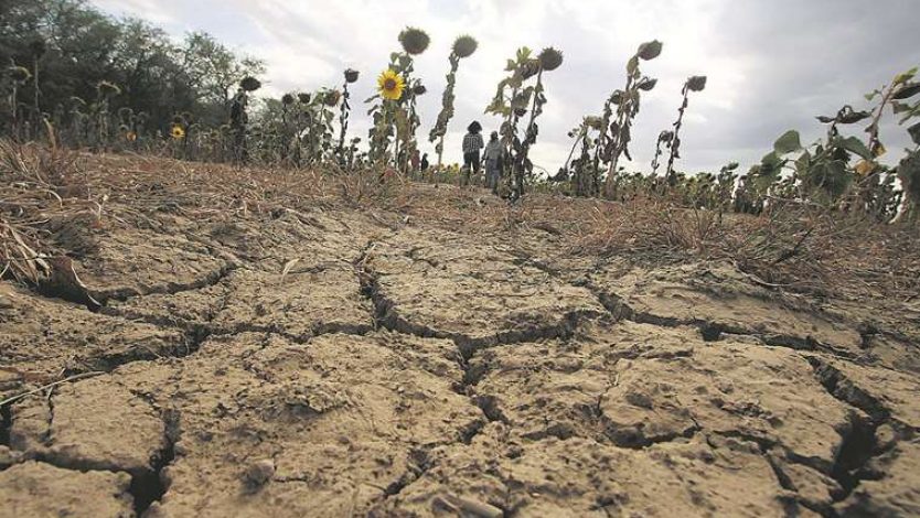 La sequía severa arrasó con más de 22 millones de hectáreas