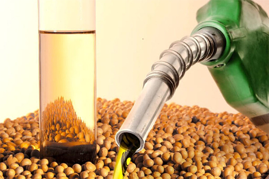Se actualizó el precio del biodiesel para gasoil