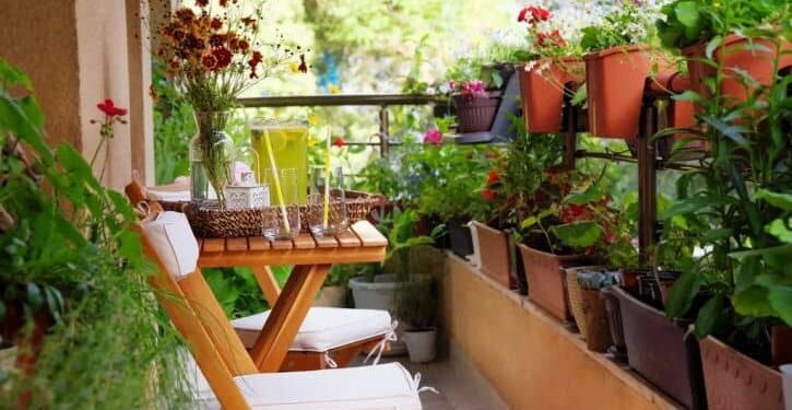 Claves para mantener una huerta urbana todo el año