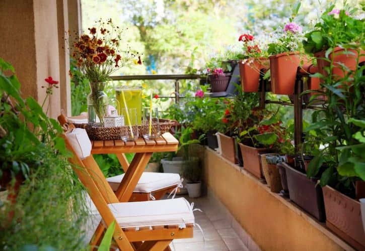Claves para mantener una huerta urbana todo el año